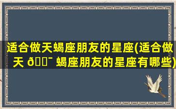 适合做天蝎座朋友的星座(适合做天 🐯 蝎座朋友的星座有哪些)